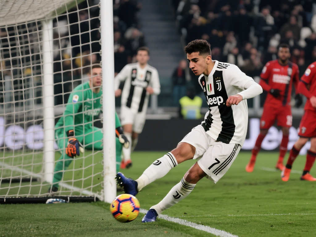 合理规划球 合理规划球